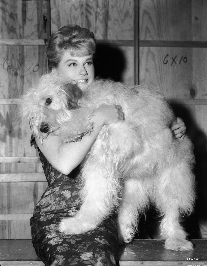 Doris Day as Kate MacKay, with Hobo the sheepdog.