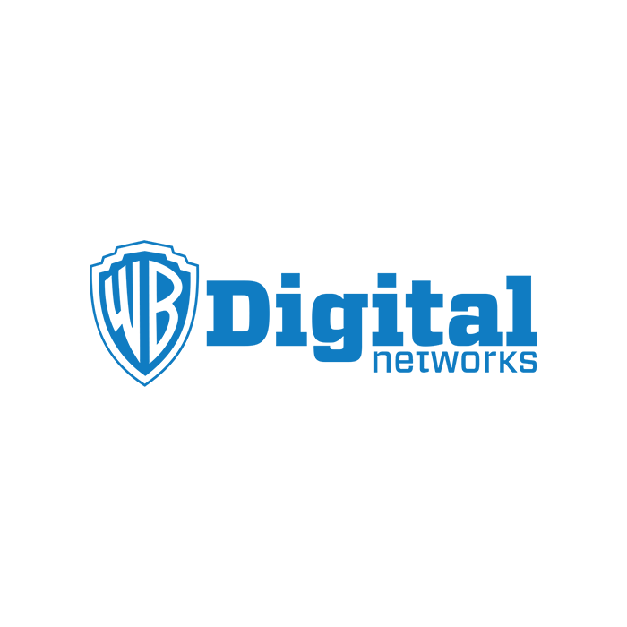 Digital Network Logo