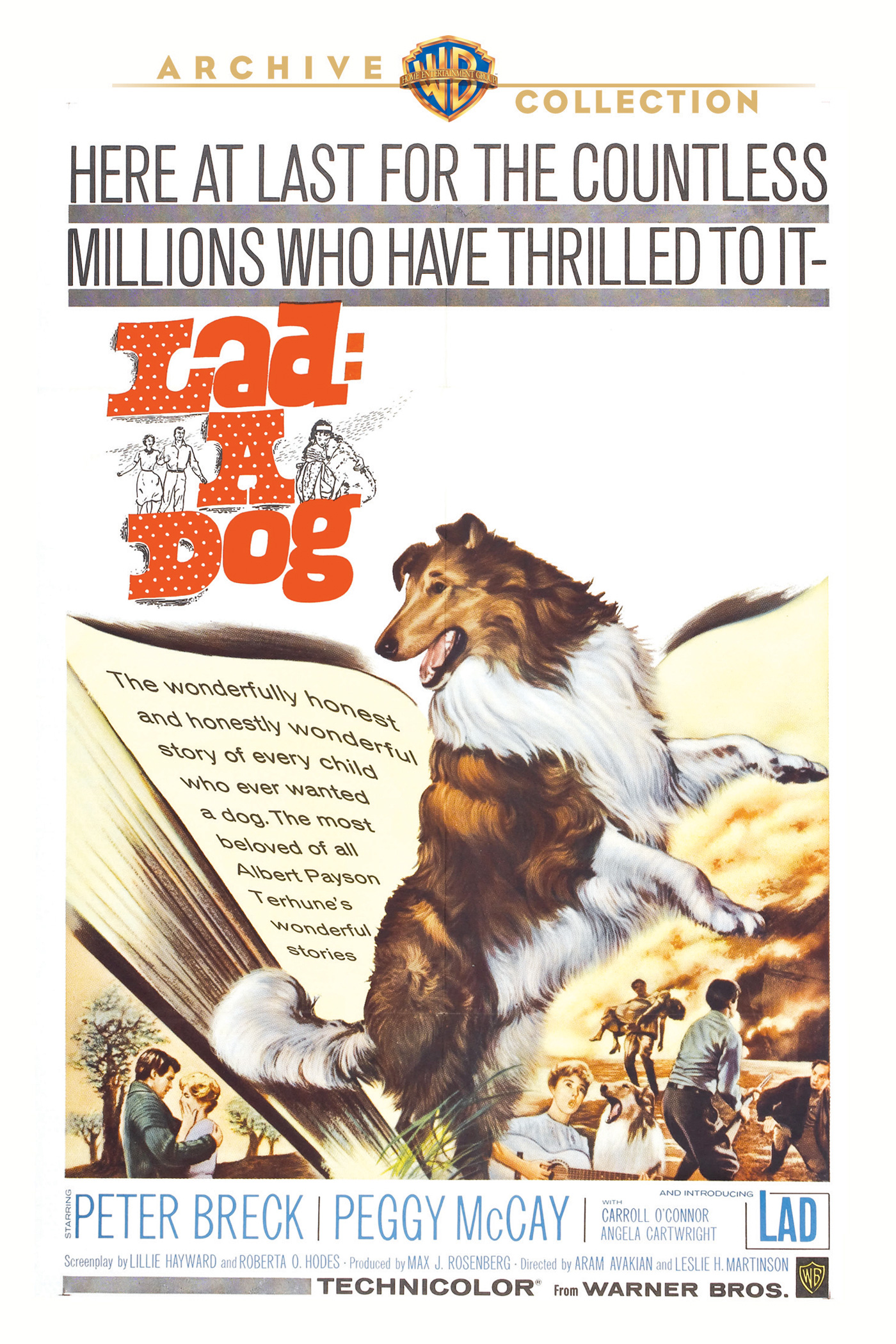 Lad: A Dog keyart