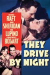 They Drive by Night keyart 